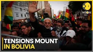 Bolivia Crisis: Protesters Clash With Police in La Paz Over Fuel Subsidy Cuts | WION
