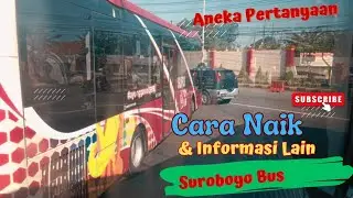 Pertanyaan yang Sering Muncul Soal Suroboyo Bus