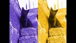 QUIK 20161022 244513