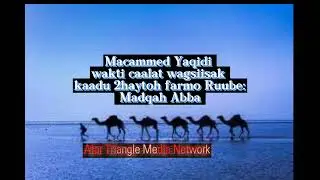 M/D Yaqidi 2haak sarri daban kaadu Madqah Abbah qagitak kaadu Qali baxa elle rubem farmo