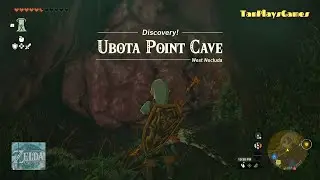 Ubota Point Cave BubbulFrog Location : Zelda Tears of The Kingdom.