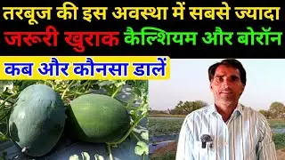 तरबूज में कैल्शियम और बोराॅन की सबसे जरूरी खुराक A to Z |
