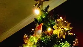 ASMR 🎄Christmas Decor Filmed on an Old Digital Camera (lofi, soft spoken)