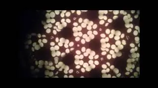 Virgins Family Band - Moon Breath