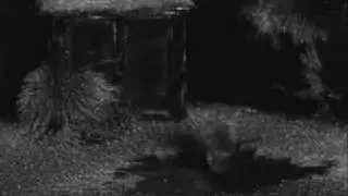 Stille Nacht - Dramolet