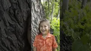 Jeaven Maeva - Alu Like - Mana Mele Showcase 2024