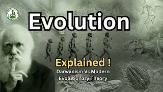 Evolution Explained Simply | Darwinism to Modern Evolution Theory