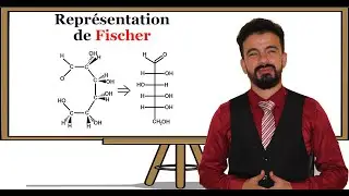 Représentation de Fischer | Chimie Organique