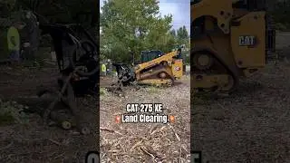 Всему нужна своя порция мяса!!⚠️ Расчистка территории с помощью совершенно нового мини-погрузчика...