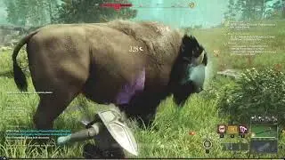 Where to find Bison near a Fast Travel Sanctuary in New World