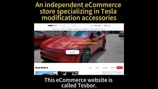 Inside Tesbor&rsquo;s Shopify Strategy for Selling Tesla Modification Accessories