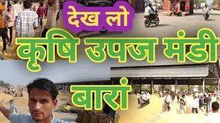 Baran Dhaan Mandi Update - Prices Drop Again
