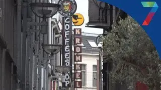 Proef met legale wietteelt gaat in 2021 van start
