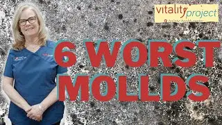 The 6 Most Dangerous Types of Mold