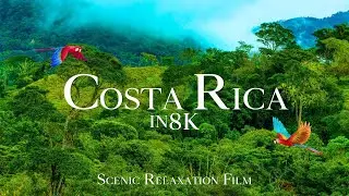 Costa Rica in 8K ULTRA HD (60FPS) - The Green Paradise | Scenic Relaxation Film