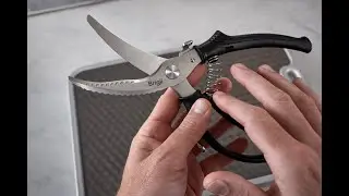 Kitchen Shears Review | Brigii Heavy Duty Poultry Scissors for Chicken, Fish & Veggies