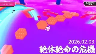 【Fall Guys】一緒に遊んでください！Feb.3 #fallguys #毎週火曜日はたまごの日