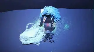 The Story of the Little Mermaid (Stop Motion DragonFrame)