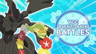 A Top 200 Feb IC Special Zekrom & Eruption Groudon Team | Series 12 Ranked Battles