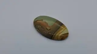 Owyhee Picture Jasper