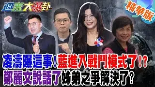 凌濤曝這事!藍進入戰鬥模式了!?鄭麗文說話了