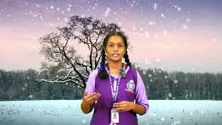 DAY - 12 WHY DO SEASONS CHANGE ?  -  KUTTY STORIES OF WHY ?