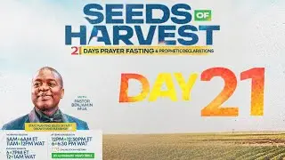 SeedsOfHarvest_Day21
