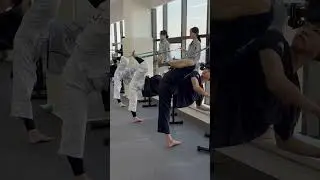 kick!! #ts #tkd #taekwondo #kicking #sidekick #training #shorts