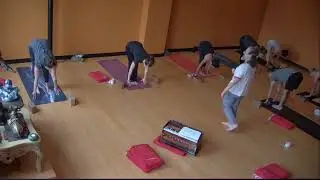 Fundamentals Week 4 Learning about Vinyasa and Inversions