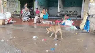 Maduranthgam bus stop// iruppavargalukku iru velai saappadu mammal mudinthathu