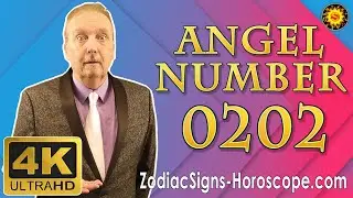 Seeing Angel Number 0202 Meaning, Symbolism, Love and Spiritual Significance | 0202 Spiritual Number