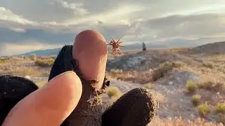 Camping &mdash; Dugway Geode Beds 2023