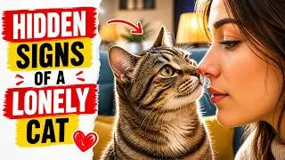 5 Hidden Signs That Your Cat Is LONELY (Most Owners Miss These)