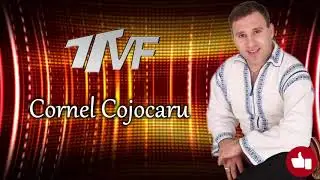 CORNEL COJOCARU ||  MUZICA DE PETRECERE 2020 || HORE SI SARBE 2020 || SHOW