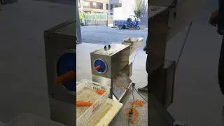 Multifunctional peeling machine carrot peeler #foodprep #foodmachine #peelingmachine #peeler