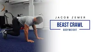 How To: Beast Crawl