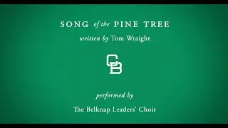 Song of the Pine Trees - by Tom Wraight