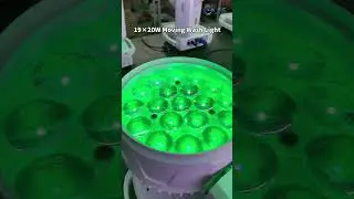 19&times;15W Moving Head Wash Light | 8&deg;&ndash;50&deg; Zoom &bull; RGBW &bull; Flicker-Free DMX Demo 💡
