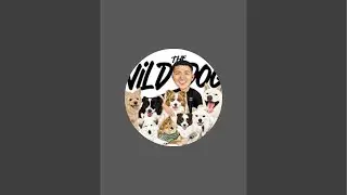 Daily Dose of Wild Dogs is live!