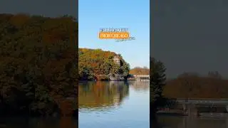 Best fall road trip from Chicago!🍂 #illinois #fall #midwest #roadtrip