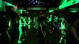 Vixen Army