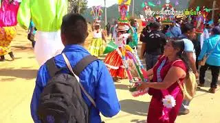San Miguel Coatlán Fiesta Patronal 2024