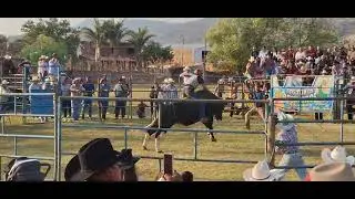 DOS 2 Quedas  JOSESITO Y EL CHARRO DEL TECOLOTE 🎶🥁🎺🐃🐮🎉🎶🐄 LA ESPERANZA 04 Enero 2026