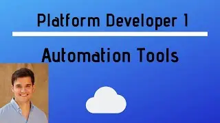 Platform Developer 1   Describe the capabilities of the declaritive process automation features