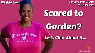 Grow Your Own Food in 2026 | One Pot Can Change Everything