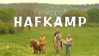 Hafkamp-Video