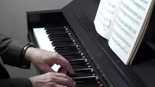 Jeff Jeckovich performs 