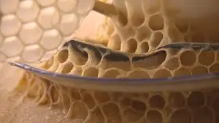 The buzz about a new exhibit at the Art Gallery of Regina