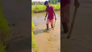 Indian Farmer's Lifestyle #shorts #farming #15thaugust #independence #farmerlife #hardwork