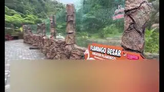 BANDUNG LEMBANG PARK ZOO - DAILY VLOG Slow Motions